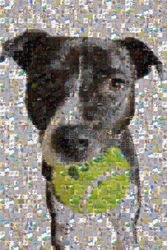 Tilly the Mosaic by yoshi1295