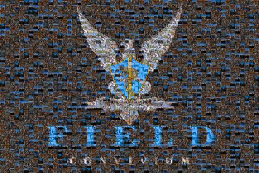 Logo Field Vim by domenicopll