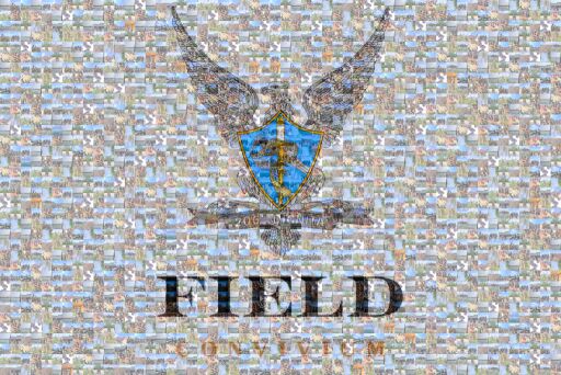 Logo Fed Onvim by domenicopll