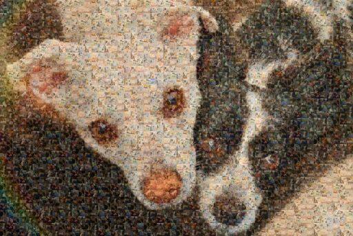 Two Dogs Looking by onbrand