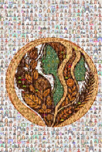 Woman ' S by inteligencianim