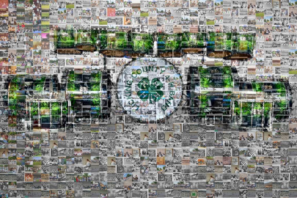 MosaicImg