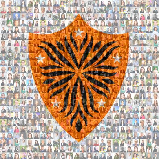 Many Minds, Many Stripes Copy by charwerner