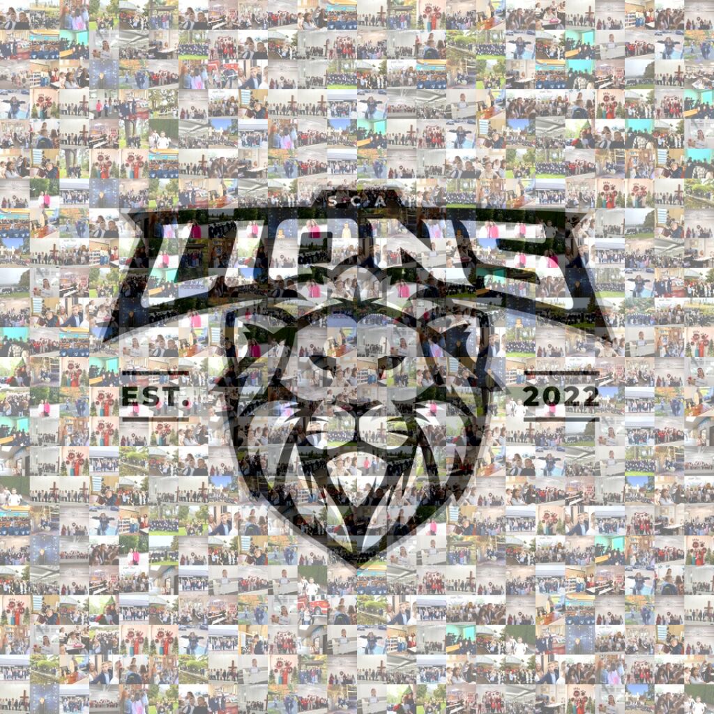 MosaicImg