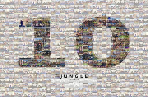 Jungle 10th Anniversary by antobresolini