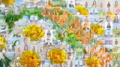 Floral Summer Delight by taisy96