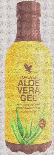 Aloe Vera Refreshment by tripheist