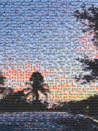 Sunset Palm Serenity by cmarques