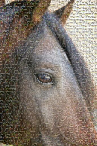 Intimate Portrait Detail Copy by chrissylaughlin