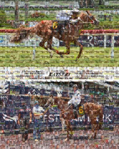 Equine Airborne Grace Copy by chrissylaughlin