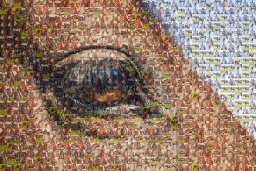 Intense Gaze, Golden Eyes Copy by chrissylaughlin