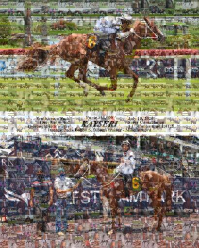 Equine Airborne Grace by chrissylaughlin