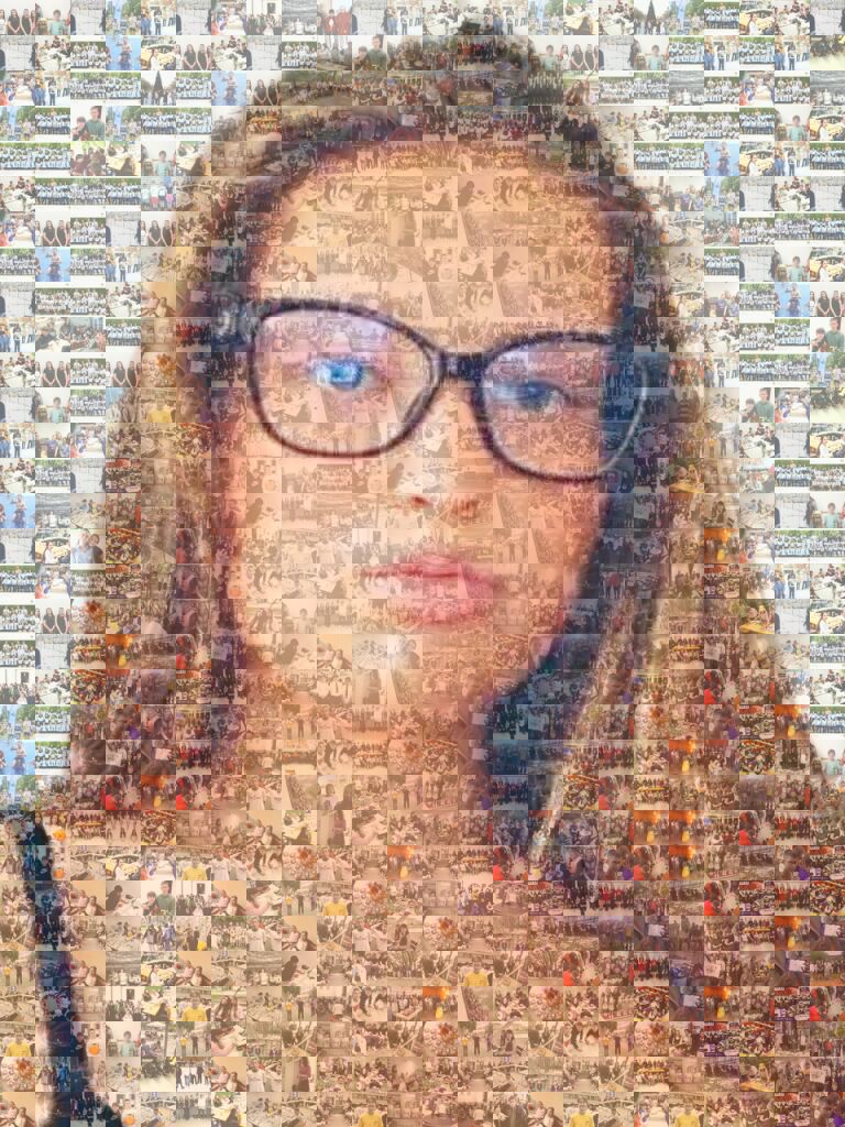 MosaicImg