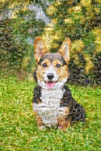 Corgi Portrait in Green by abby123456789